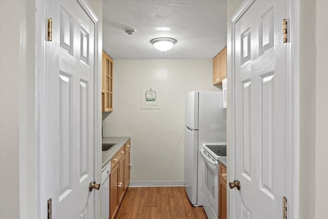103 Grove St Unit 341, Rockland, MA 02370 - kitchen featuring white appliances, a textured ceiling, light wood-style flooring, and light countertops