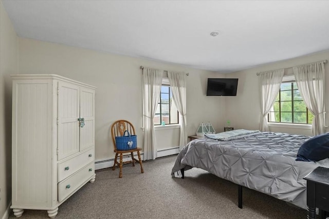 103 Grove St Unit 341, Rockland, MA 02370 - carpeted bedroom with multiple windows and a baseboard heating unit