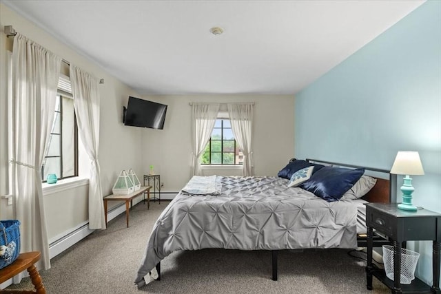 103 Grove St Unit 341, Rockland, MA 02370 - carpeted bedroom with a baseboard radiator