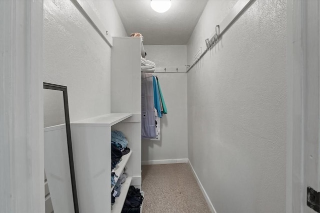 103 Grove St Unit 341, Rockland, MA 02370 - spacious closet with carpet floors