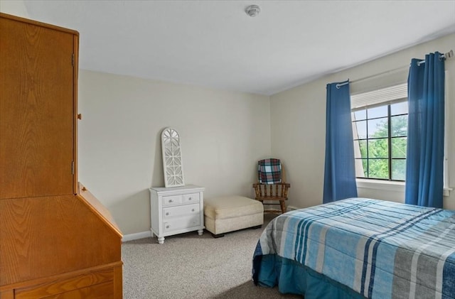 103 Grove St Unit 341, Rockland, MA 02370 - bedroom with carpet