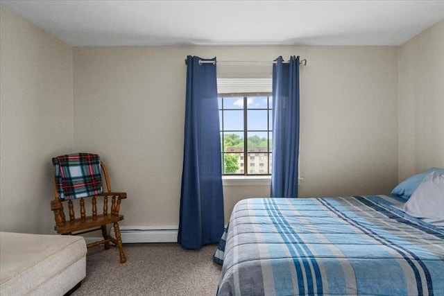 103 Grove St Unit 341, Rockland, MA 02370 - bedroom with carpet floors and baseboard heating