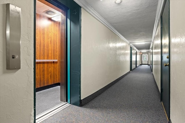 103 Grove St Unit 341, Rockland, MA 02370 - corridor with carpet floors, ornamental molding, a textured wall, and a textured ceiling