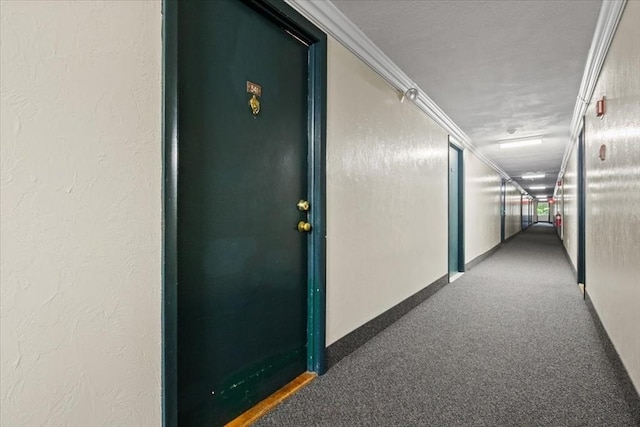 103 Grove St Unit 341, Rockland, MA 02370 - hall featuring carpet and crown molding