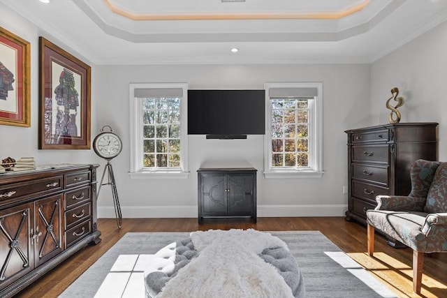 37 Radcliffe Rd, Newton, MA 02468 - living area with a tray ceiling, dark wood finished floors, and a healthy amount of sunlight