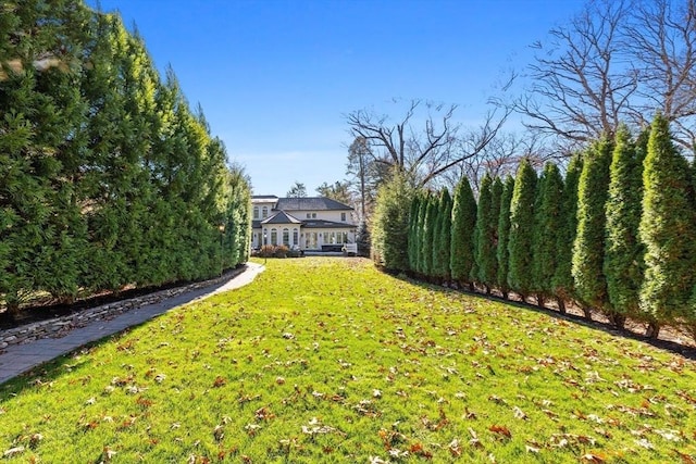 37 Radcliffe Rd, Newton, MA 02468 - view of yard