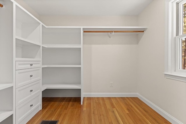 walk in closet featuring light wood-type flooring