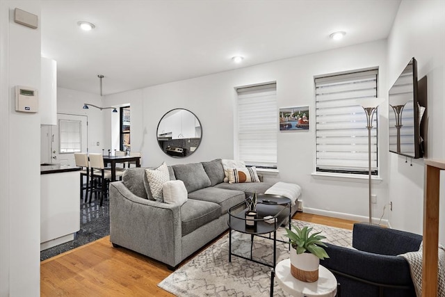 living room featuring wood-type flooring