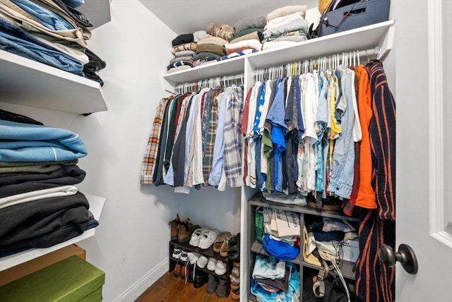 spacious closet featuring wood finished floors