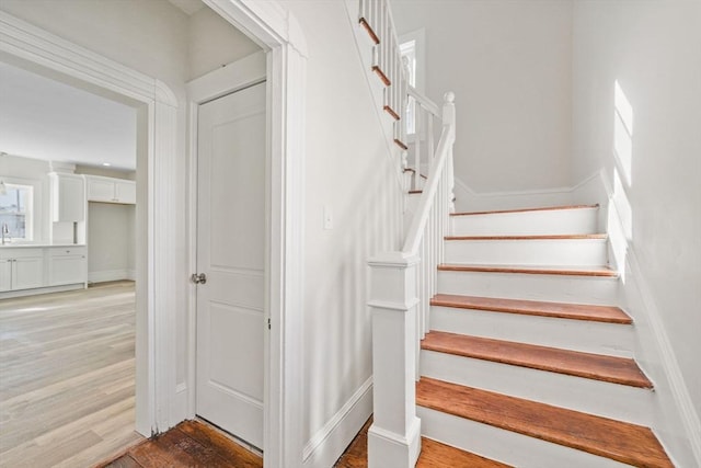 staircase featuring wood-type flooring