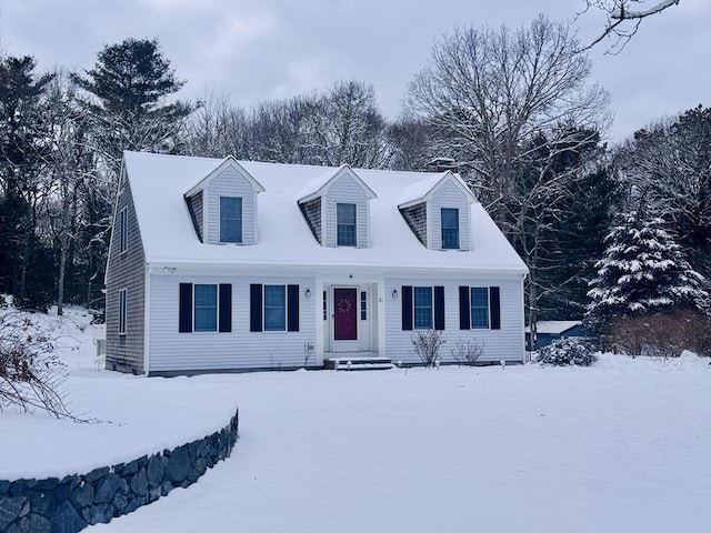 view of cape cod house