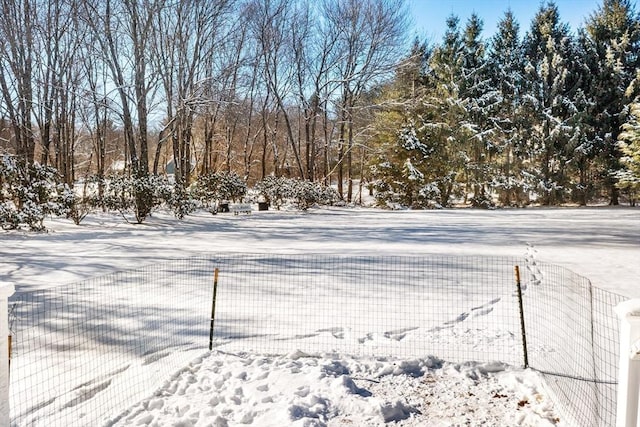 view of yard covered in snow