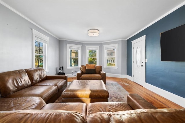 living room with wood-type flooring and ornamental molding