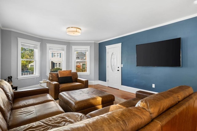 living room featuring hardwood / wood-style floors and crown molding