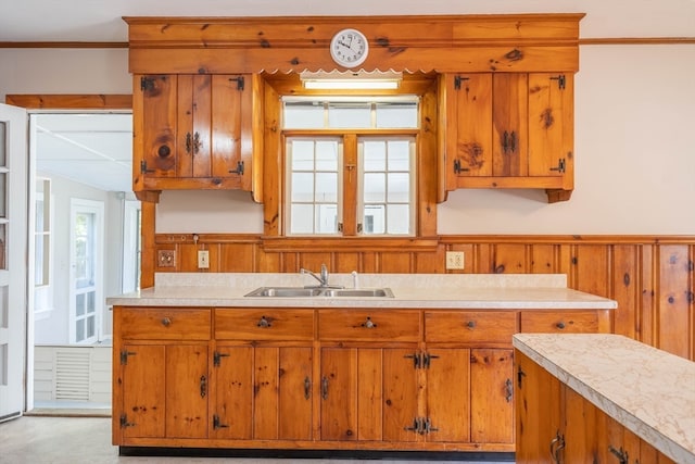 kitchen with wood walls, ornamental molding, and sink