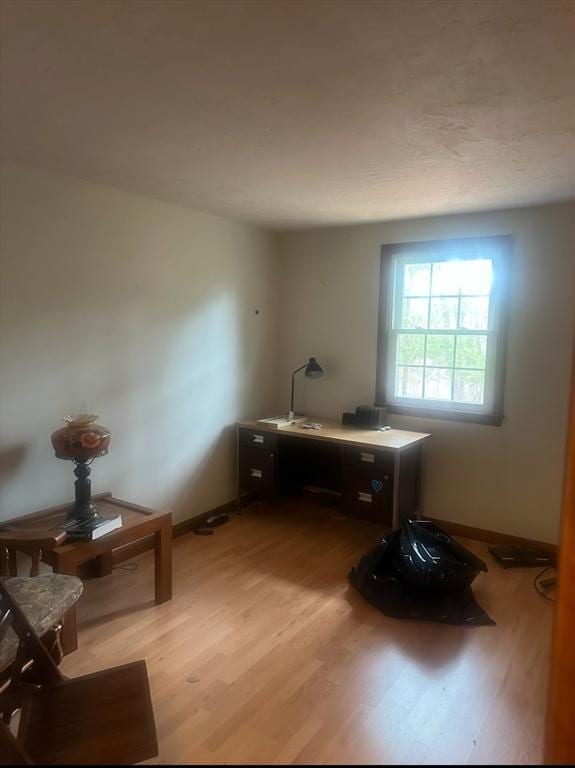 office with light wood-type flooring and baseboards