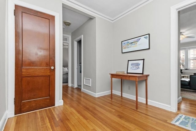 5 Arlington St Unit 31, Cambridge, MA 02140 - hallway with light wood-type flooring, ornamental molding, and baseboards