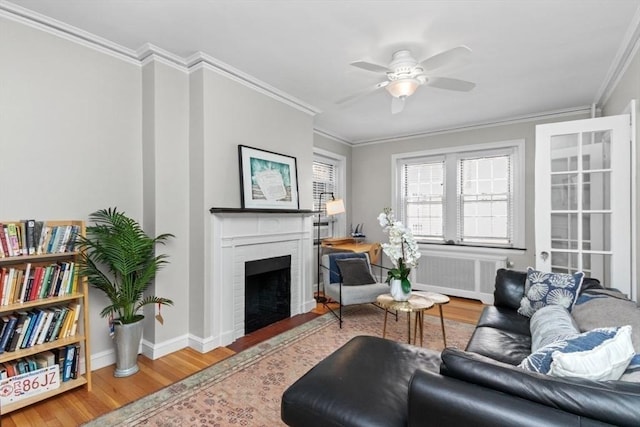 5 Arlington St Unit 31, Cambridge, MA 02140 - living room featuring radiator, wood finished floors, a fireplace, a ceiling fan, and crown molding