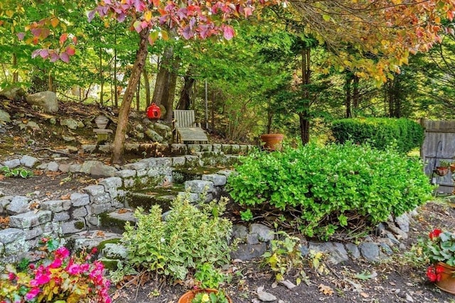 view of yard featuring fence
