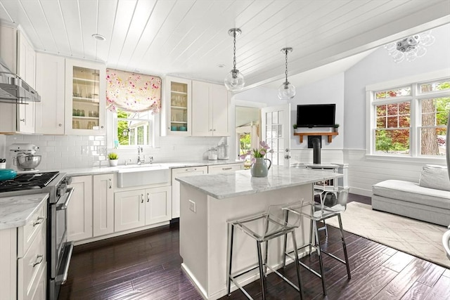 56 Postgate Rd, Hamilton, MA 01982 - kitchen featuring high end stainless steel range oven, open floor plan, wainscoting, dark wood-style flooring, and a sink