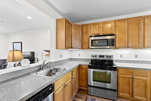 kitchen featuring wood-type flooring, sink, and appliances with stainless steel finishes