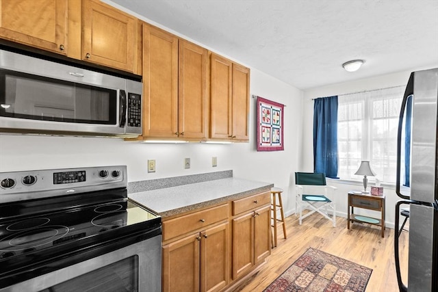 kitchen with stainless steel appliances and light hardwood / wood-style floors