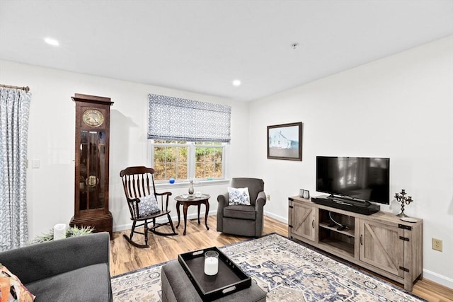 living room with hardwood / wood-style flooring