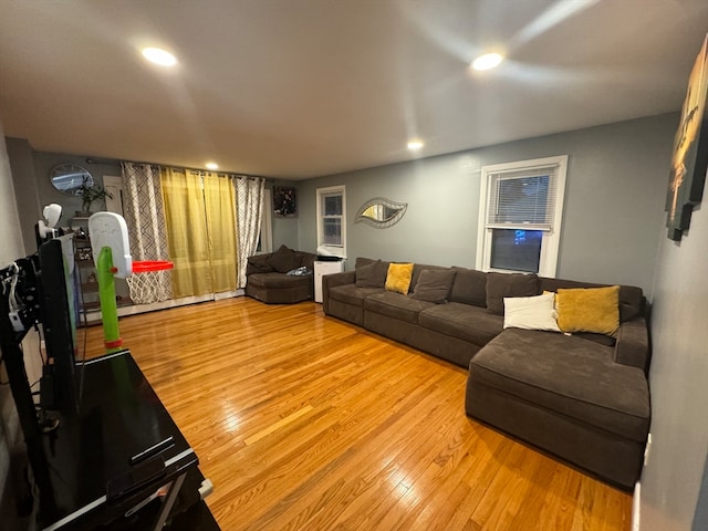 living room with light wood-type flooring