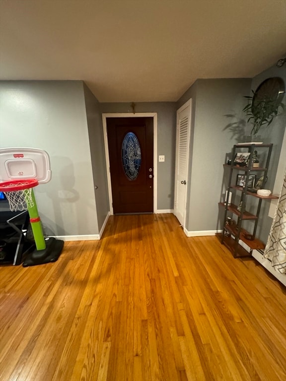 entrance foyer with light hardwood / wood-style flooring