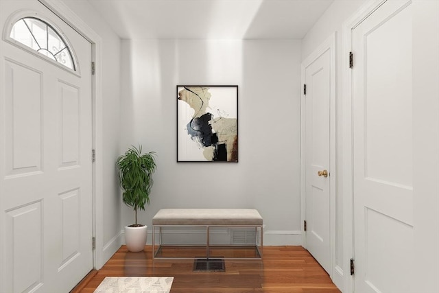 entryway featuring hardwood / wood-style flooring