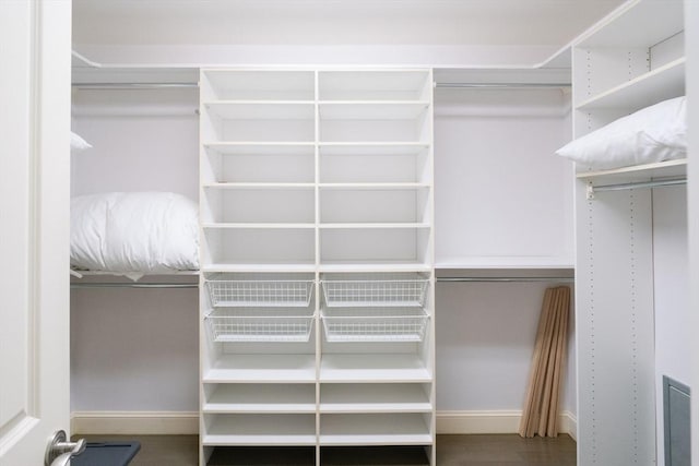 spacious closet featuring wood finished floors