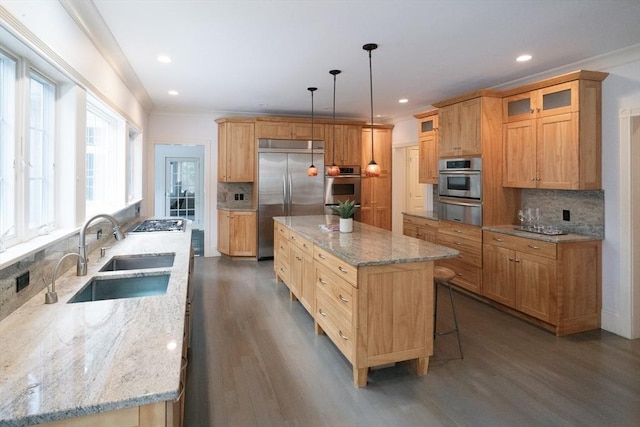 kitchen with glass insert cabinets, appliances with stainless steel finishes, dark wood-style flooring, and a sink