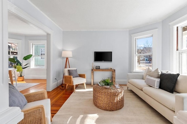 living room featuring light hardwood / wood-style floors