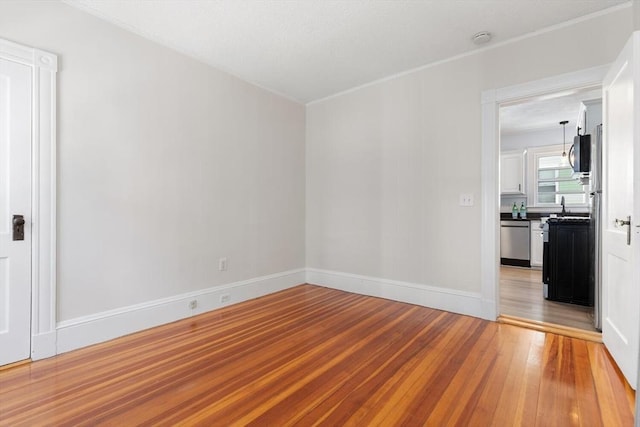 empty room with light hardwood / wood-style floors and sink