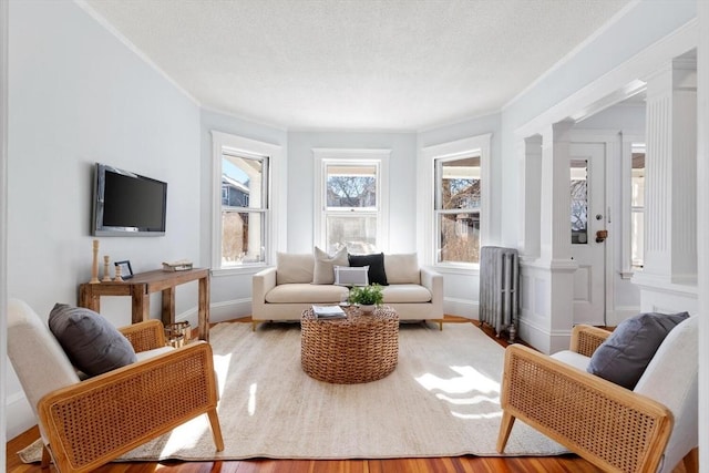 interior space with radiator heating unit, light hardwood / wood-style flooring, and ornate columns