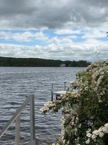45 Spring St, Lunenburg, MA 01462 - dock area featuring a water view