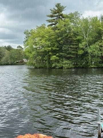45 Spring St, Lunenburg, MA 01462 - water view with a heavily wooded area