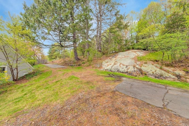 231 Larch Row, Wenham, MA 01984 - view of yard