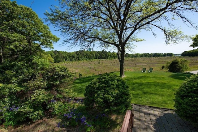 view of yard featuring a rural view