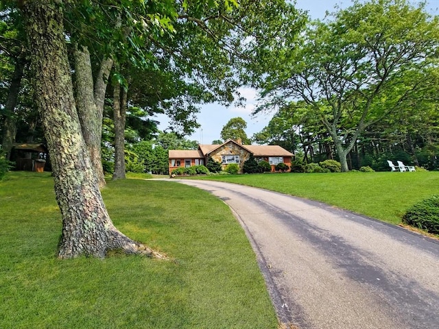 view of front facade featuring a front lawn