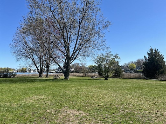 view of yard featuring a water view