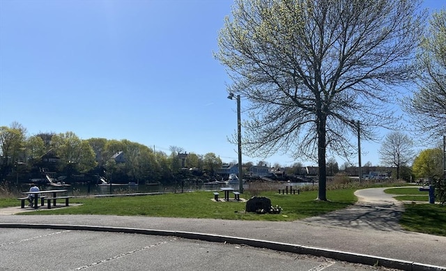 view of home's community with a lawn