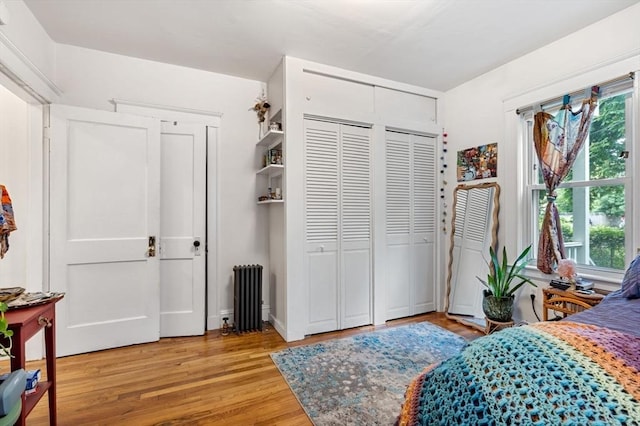 111 Williams St Unit 1, Boston, MA 02130 - bedroom featuring radiator heating unit, multiple windows, light wood-type flooring, and two closets