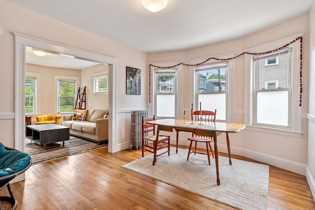 111 Williams St Unit 1, Boston, MA 02130 - dining room with light wood-type flooring, baseboards, and radiator