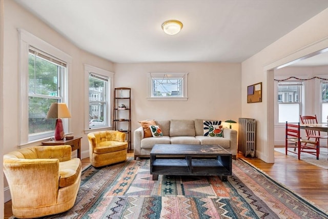 111 Williams St Unit 1, Boston, MA 02130 - living area featuring radiator, plenty of natural light, wood finished floors, and baseboards