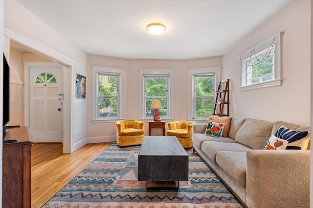111 Williams St Unit 1, Boston, MA 02130 - living room with wood finished floors and baseboards