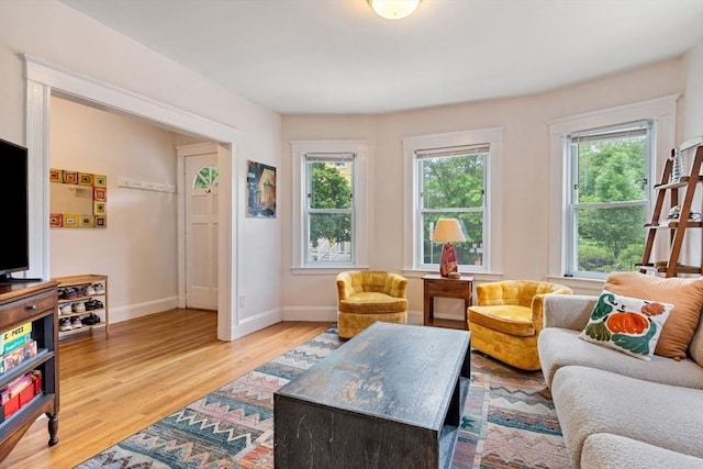 111 Williams St Unit 1, Boston, MA 02130 - living room with light wood-style floors and baseboards