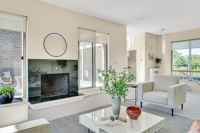 living room featuring carpet and a healthy amount of sunlight