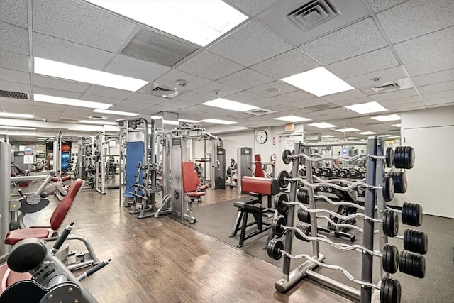 gym featuring a drop ceiling and hardwood / wood-style floors