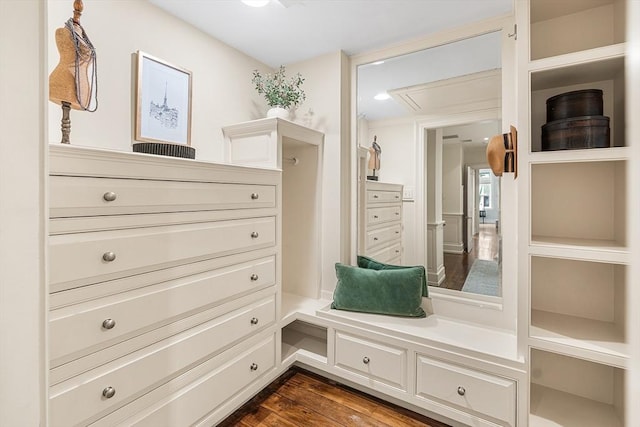 8 Garrison St Unit 104, Boston, MA 02116 - mudroom with attic access and dark wood finished floors